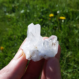 Clear Quartz Cluster