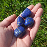 Lapis Lazuli