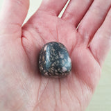 Taurus Zodiac Card with Rhodonite Birthstone Crystal
