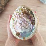 Abalone Shell