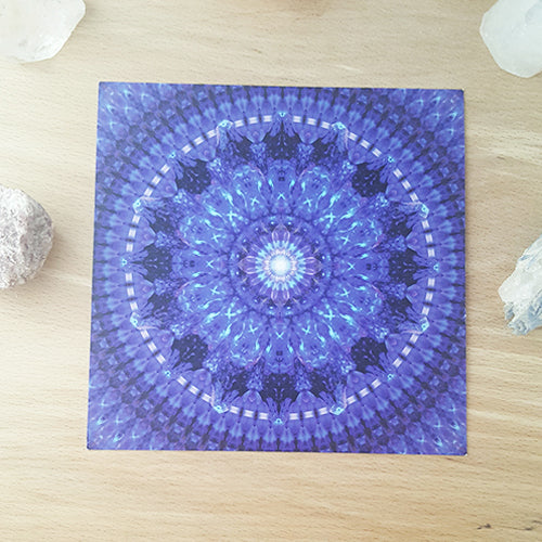 Azure Shield Mandala Art Print