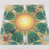 Solar Growth Mandala Art Print