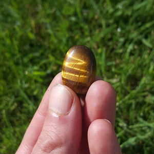 Tigers Eye