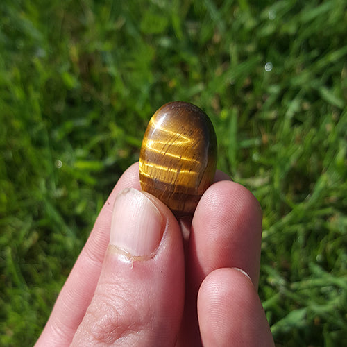 Tigers Eye