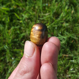 Tigers Eye